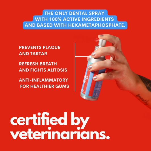 Kiss Me - Natural Dental Spray To Fight Halitosis For Dogs