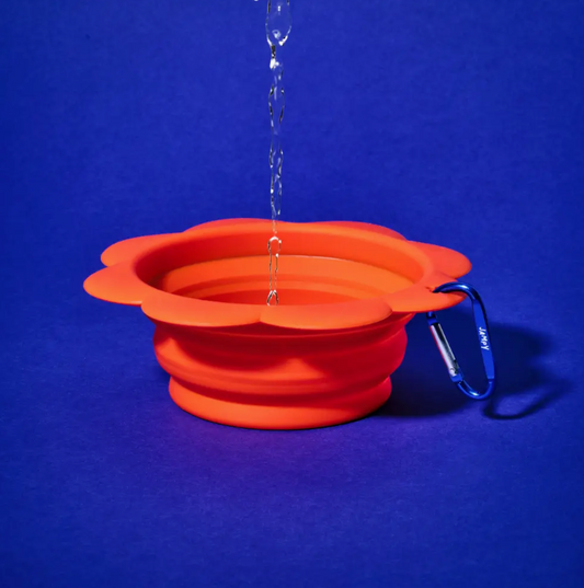 Flower Bowl - Silicone Collapsible Travel Bowl For Dogs