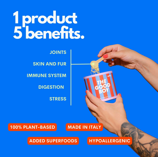 The Good Boy - Dog Multivitamin 5 in 1 Powder Plant-Based