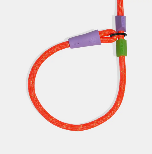 Everest Slip-N-Lock Semi-Choke Leash