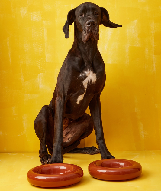 Brown Ceramic Dog Feeder